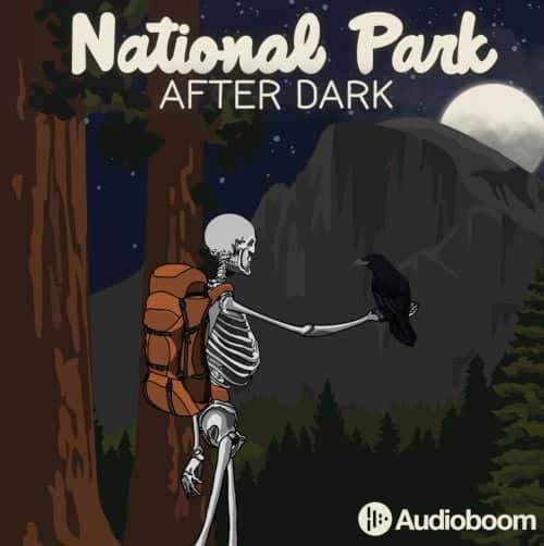 national park after dark