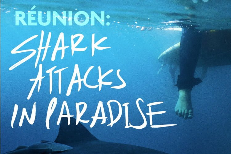 artwork for reunion shark attacks in paradise