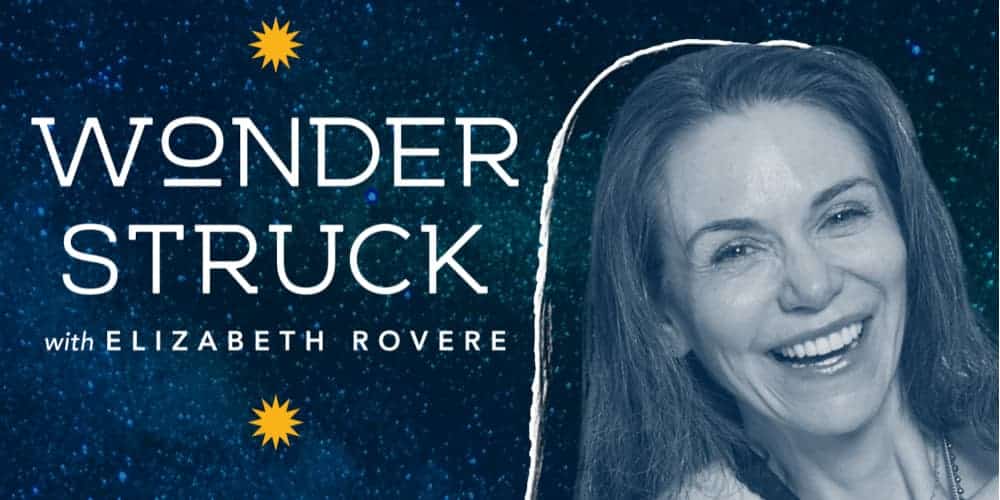 wonderstruck elizabeth rovere