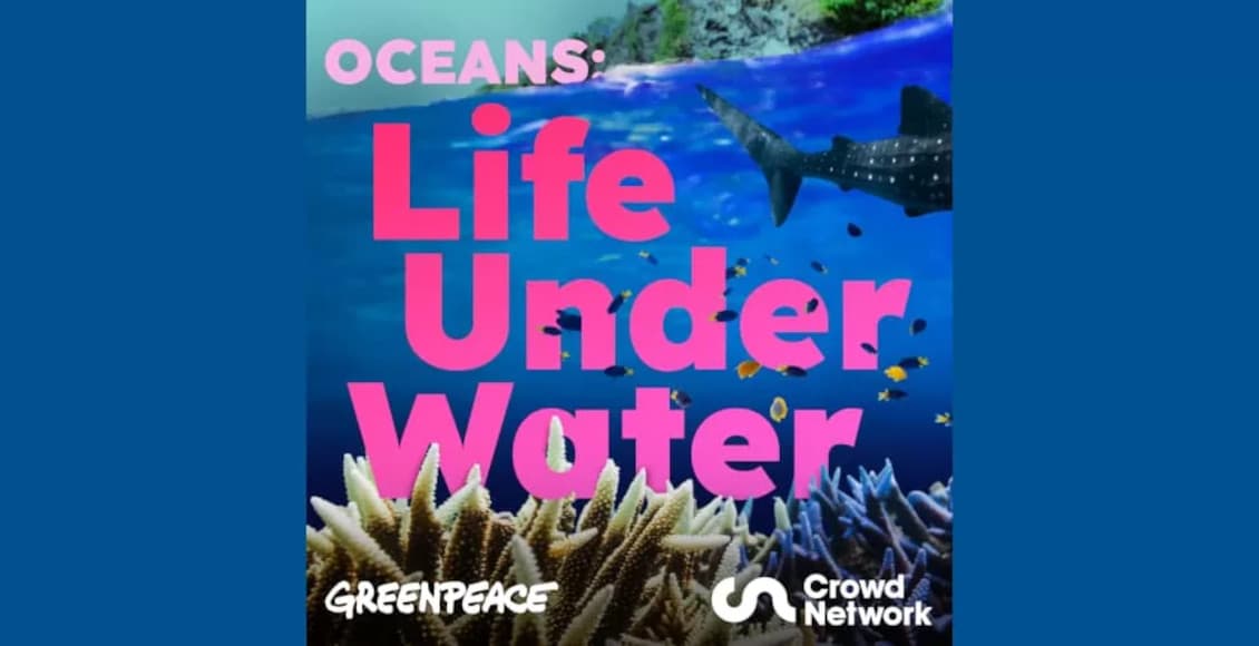 oceans life under water
