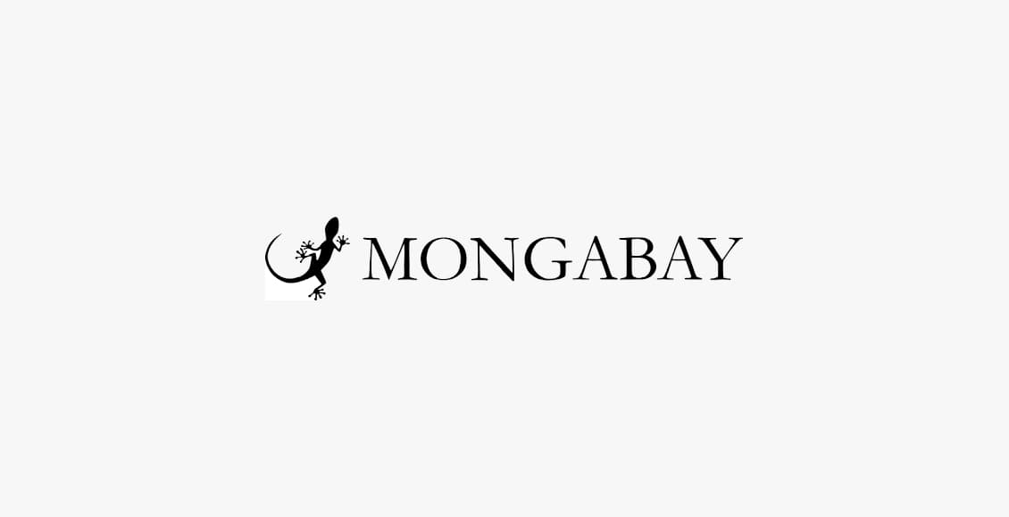 mongabay logo
