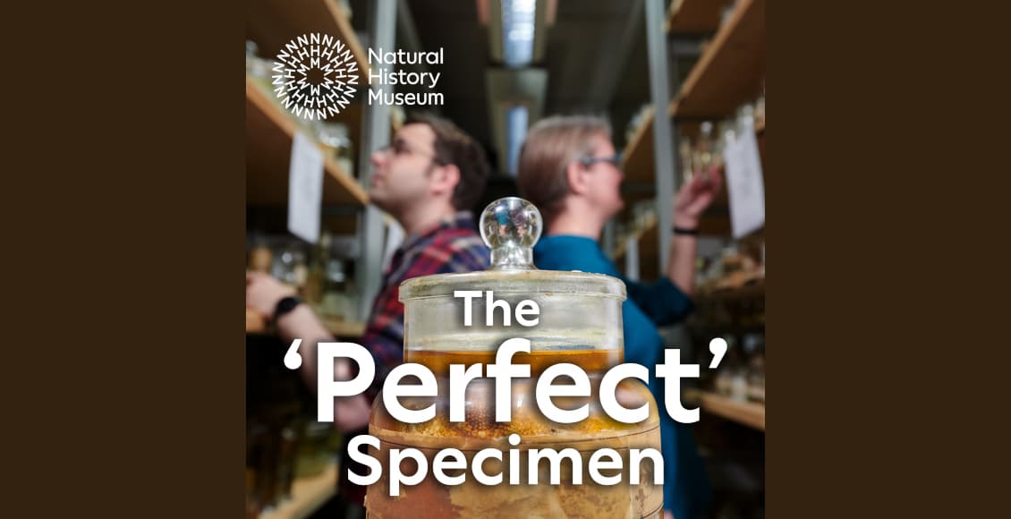 Natural History Museum launches quirky new science podcast