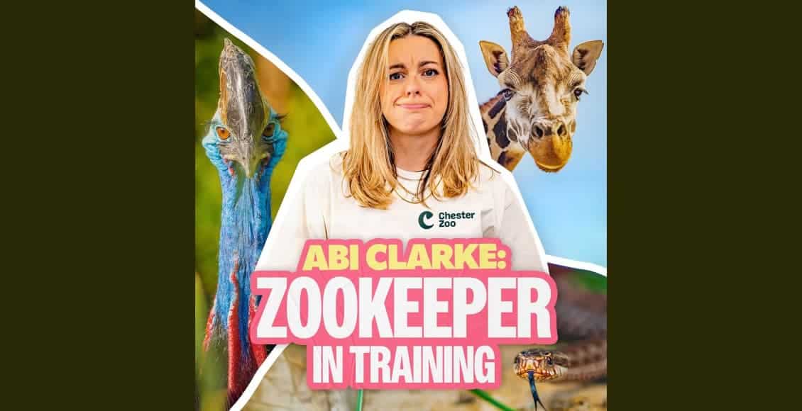 abi clarke zookeeper in training