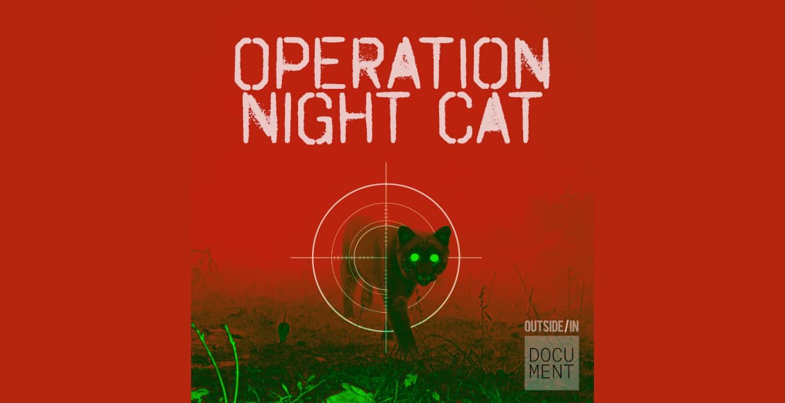 operation night cat