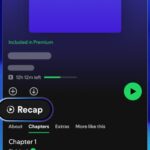 spotify recap feature