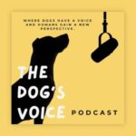 ther dogs voice podcast