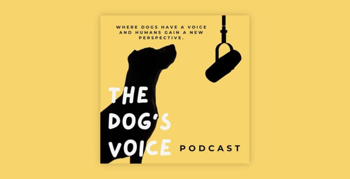 New podcast offers guide for puppy buyers and owners